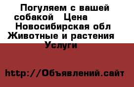 Погуляем с вашей собакой › Цена ­ 300 - Новосибирская обл. Животные и растения » Услуги   